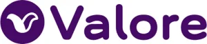 logo-custom-valore logo